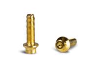 M7x24mm Verbindungsschraubenkit Gold VPE 20